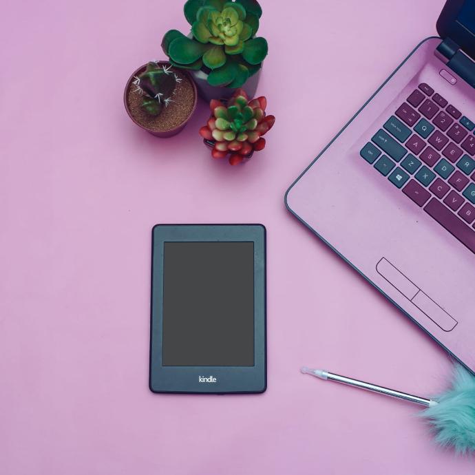 B.com with Computer Application